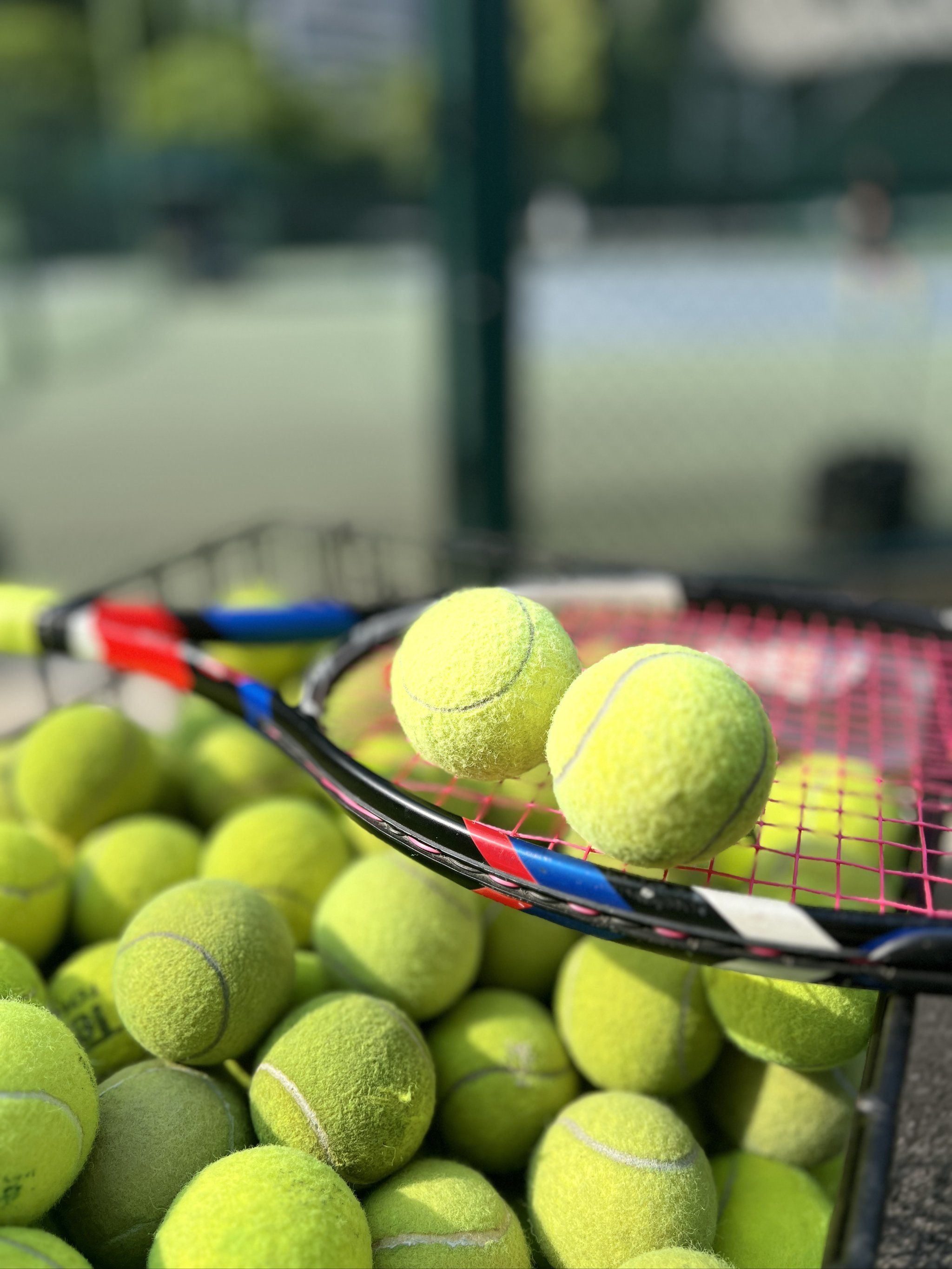 而德雷森近 而德雷森近