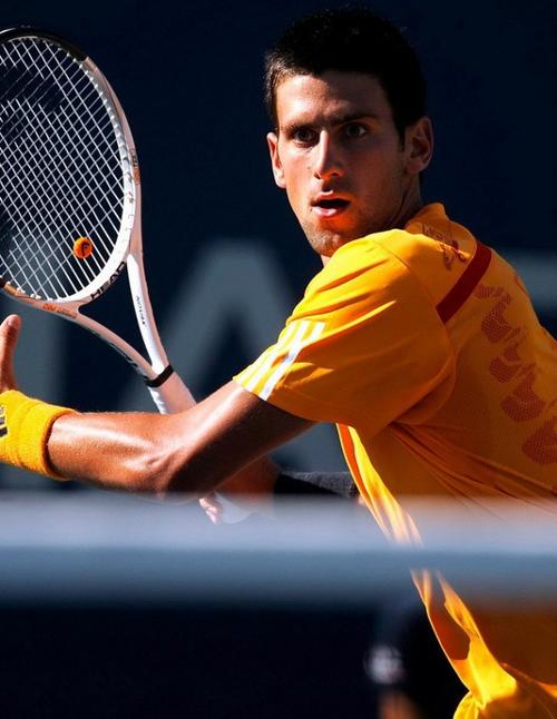 从而加速了 从而加速了