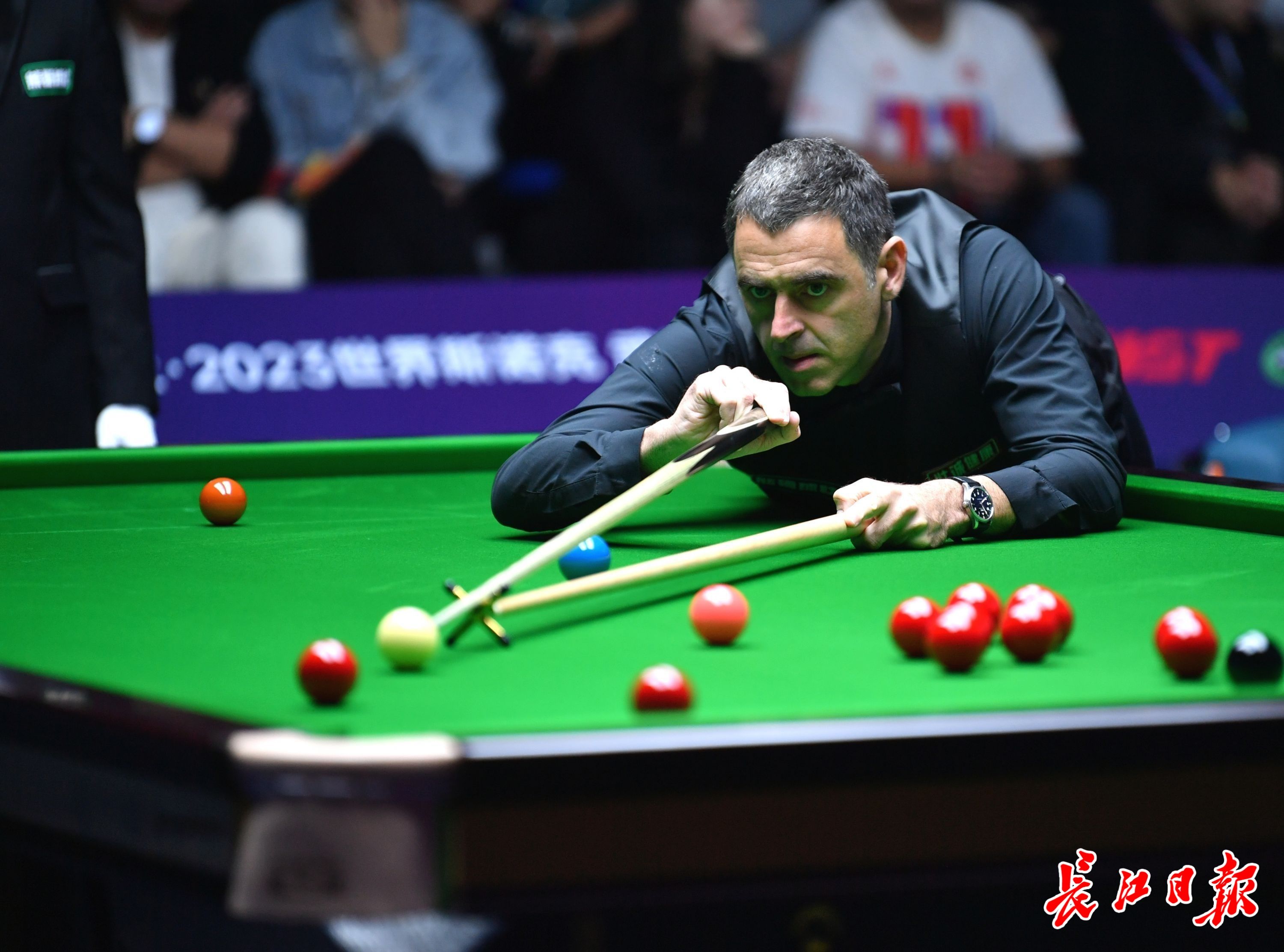 演了绝对的 演了绝对的