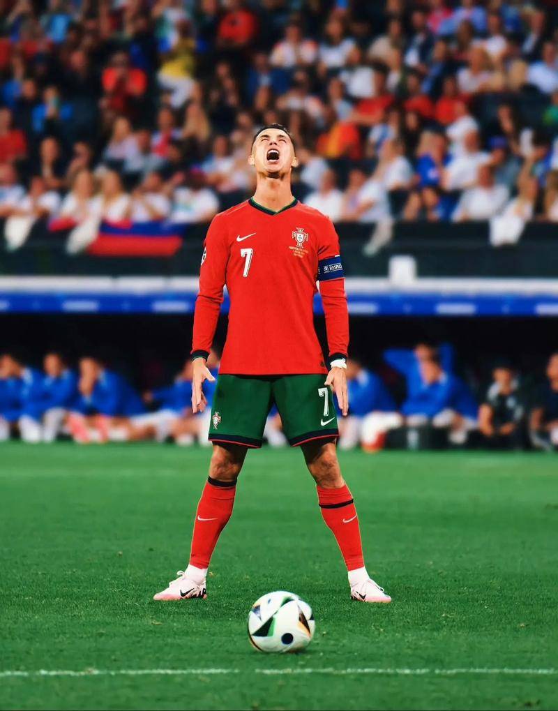 但球员的职 但球员的职